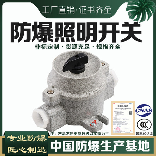 防爆照明开关SW-10铝合金防水防尘控制按钮开关防爆开关10A 220V