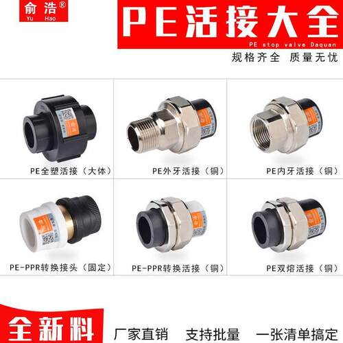 PE水管配件管件接头PPE变PR20/25/32转换接P头直通活接直接