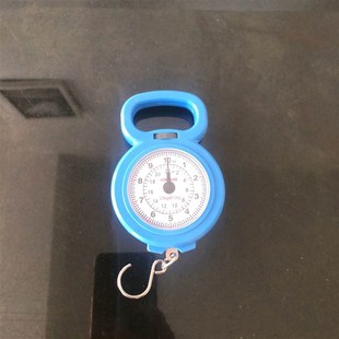 秆秤小型便携式10kg简单拉力食物手提称弹簧吊秤家用小秤实用鸢尾