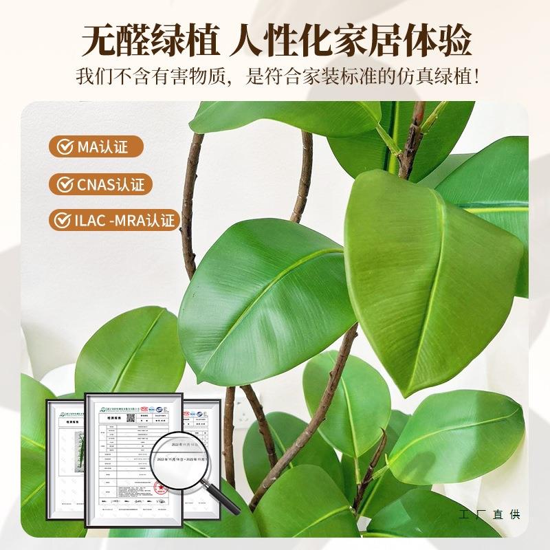 仿真绿植黑金刚橡皮树高端轻奢客厅摆件大型落地风假植物卧室阳台