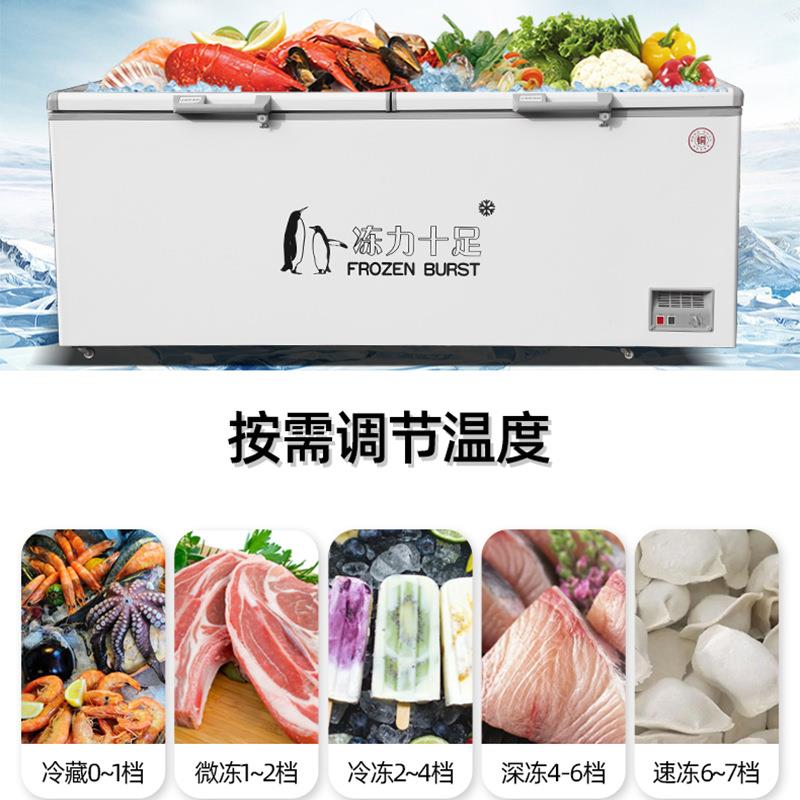 卧式冰柜商用大容量冷藏保鲜冷柜家用单双温冰箱大型展示柜速冻柜