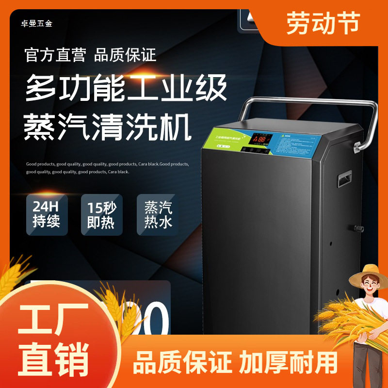 商用大功率蒸汽清洁机高温高压工业设备油污餐厅清洗蒸气洗车内曼