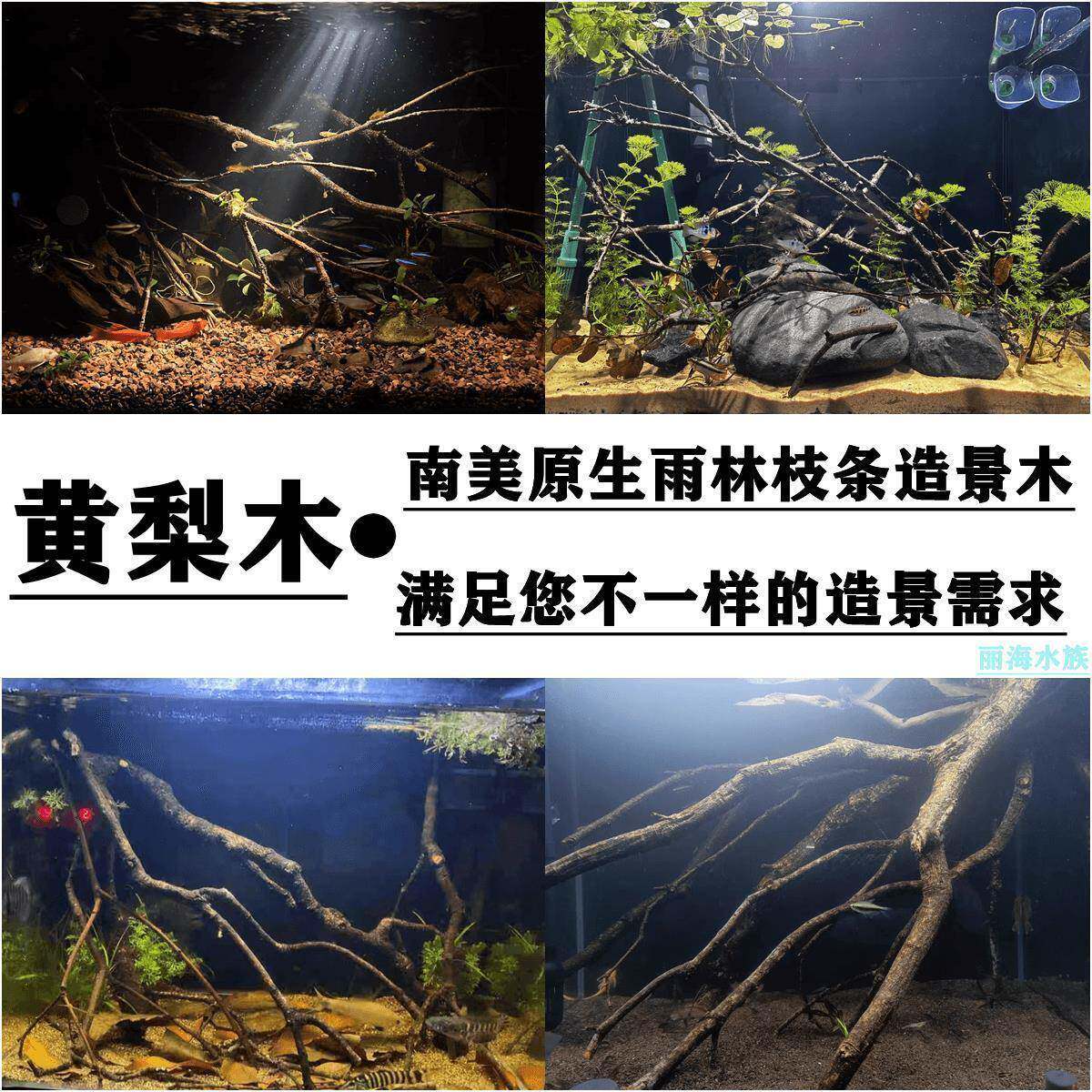 黄梨木WTZ槟木黄栎木鹿角枝一南美雨林鱼缸造景体多香枝金沉木色
