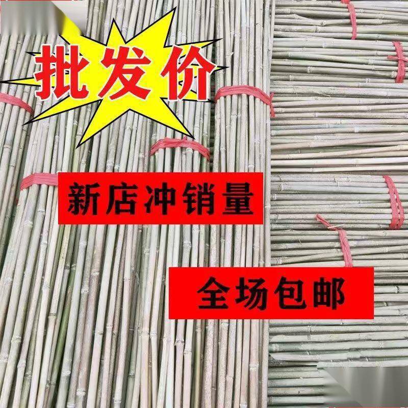 竹竿子搭架竹竹子杆菜架园竹竿子豆角黄瓜西红瓜柿RPT果蔬菜爬藤
