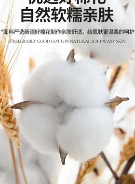 新套款纯棉床单件夹棉盖XYH20241绗缝全棉榻榻米床单四季通三件加