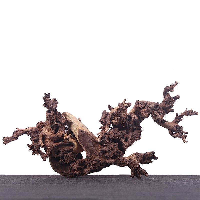鱼缸水沉木造景珊瑚天然枯木树根根雕H摆件南美草缸溪流水陆雨林
