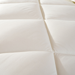 双人被芯春夏薄被子学生宿舍春秋被单人秋D冬被太空被1.5m/1.8/2