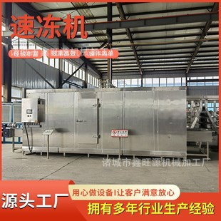 鑫旺源 水果平板式单冻机设备厂家 海红果流态化隧道式速冻机