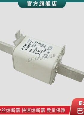 美国巴斯曼170M3811  170M3811D 170M3812 170M3812D熔断器保险丝