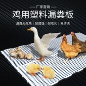 鸡用漏粪板塑料鸡舍漏屎地板家禽鸭鹅鸡鸽子漏粪养鸡养殖器械设备