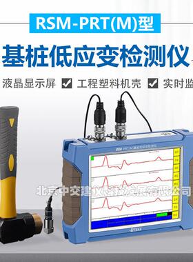 武汉中岩科技RSM-PRT（M）基桩低应变检测仪低应变桩基动测仪