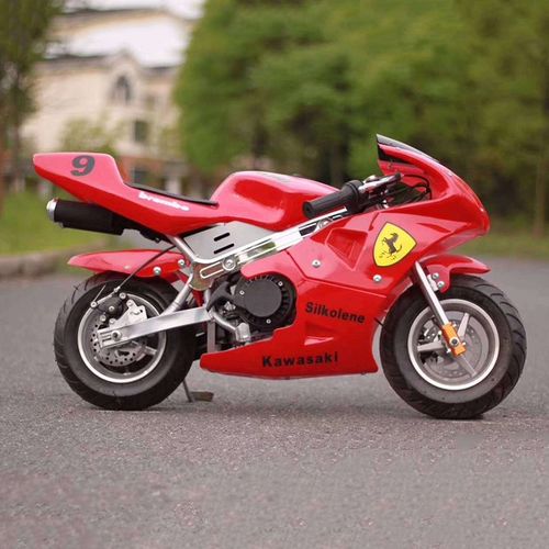 全新迷你儿童小跑车49CC2冲混合油4冲纯汽油电动款小摩托车小趴赛