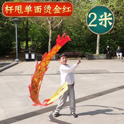 舞龙彩带儿童甩龙健身幼儿园广场手耍龙彩条龙空竹龙舞龙表演道具