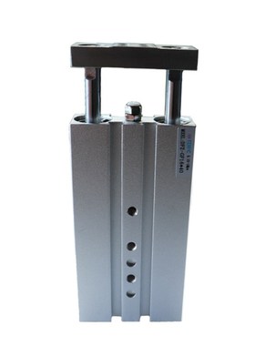 双活塞气缸DPZ-10/16/20-10-25-40-50-80-100-P-A-S2