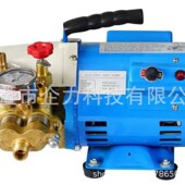 厂家400W电机双杠全铜电动试压泵打压机60KGppr水管地暖管测压检