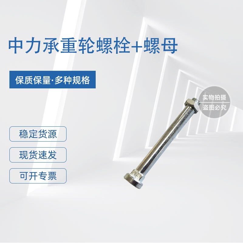 中力EPT20-15ET2中力2代小金刚双轮总成(带轮架)80*60(6204轴承)