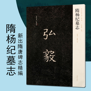 隋杨纪墓志新出隋唐碑志精编书法字帖碑帖书籍楷书碑刻书法书法赏析河南美术出版社