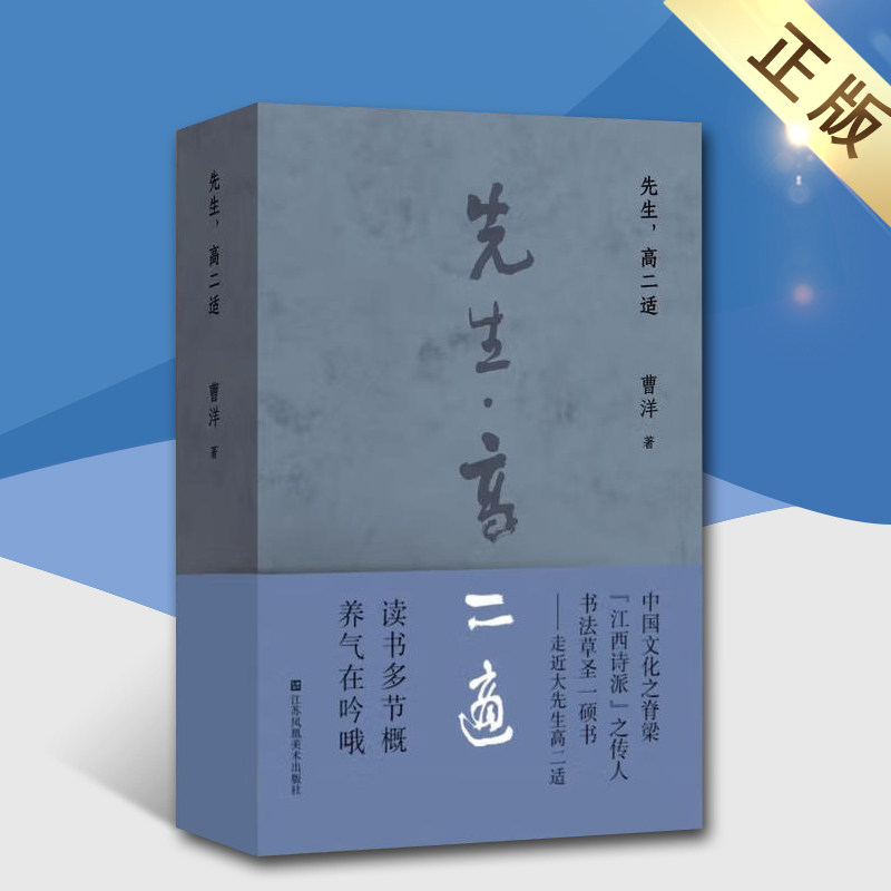 高先生高二适人物传记中国文化之脊梁江西诗派之传人书法草圣一硕书走进大先生高二适江苏凤凰美术出版社