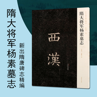隋大将军杨素墓志新出隋唐碑志精编楷书碑刻书法书法字帖碑帖书籍书法赏析河南美术出版社