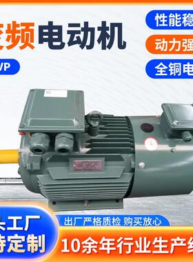 变频电机Y2VP/YTSP-225M-4P-45W-B35高效节能变频电动机