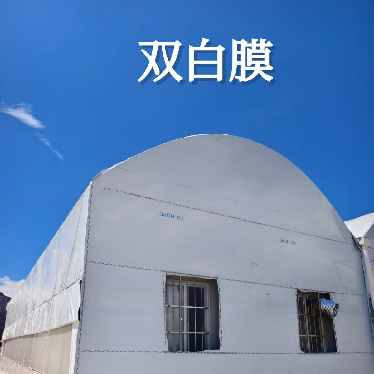 13S双白膜养殖大棚家用种植棚大棚专业养鸡羊牛猪大棚遮阳防晒