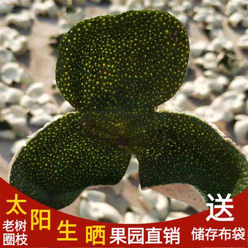 2024年新皮正宗新会小青柑皮圈枝大红色皮生晒青皮药用泡茶