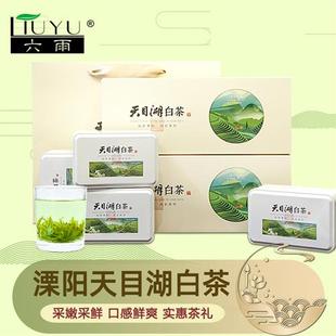 绿茶2025新茶天目湖白茶礼盒装送礼茶叶溧阳特产口感鲜爽炒青春茶