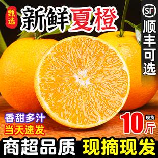 新鲜正宗湖北秭归夏橙脐橙10斤大果孕妇水果当季整箱甜橙手剥橙子