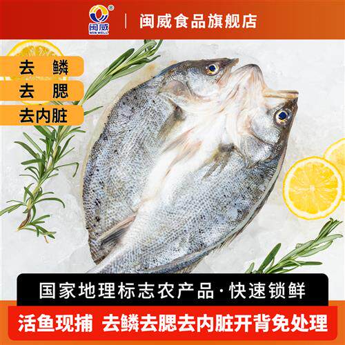 闽威新鲜大号海鲈鱼冷冻海鲜三去烤鱼半成品开背鲈鱼商用冰冻