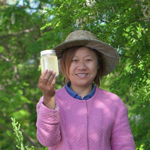 2025新蜜洋槐蜜槐花蜜纯正天然野生刺槐蜜洋槐巢蜜老付蜂蜜