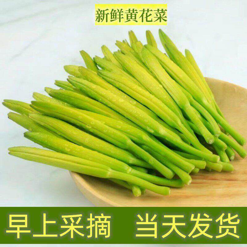 新鲜黄花菜农家蔬菜现摘现发野生金针菜现摘火锅凉拌菜