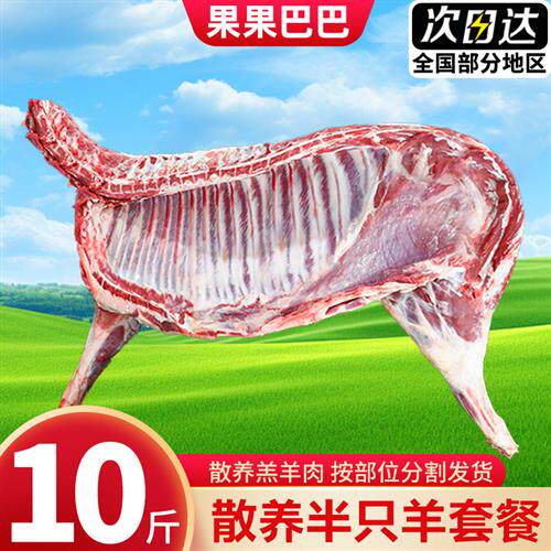 10斤原切半只羊新鲜羊排羊蠍子羊腿礼盒套餐冷冻烧烤食材年货礼品
