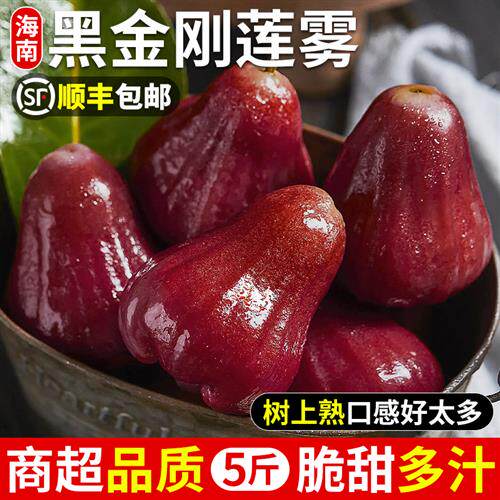 海南黑金刚莲雾5斤新鲜水果当季现摘正宗红宝石连雾果树上熟包邮3