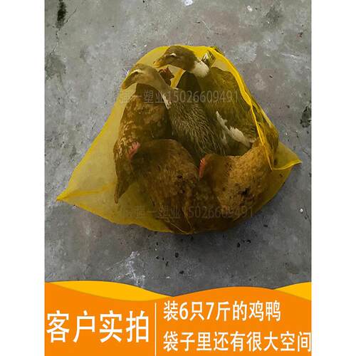 装活禽网兜装鸡鸭的网袋子纱网大号家禽塑料尼龙编织袋加密小网眼