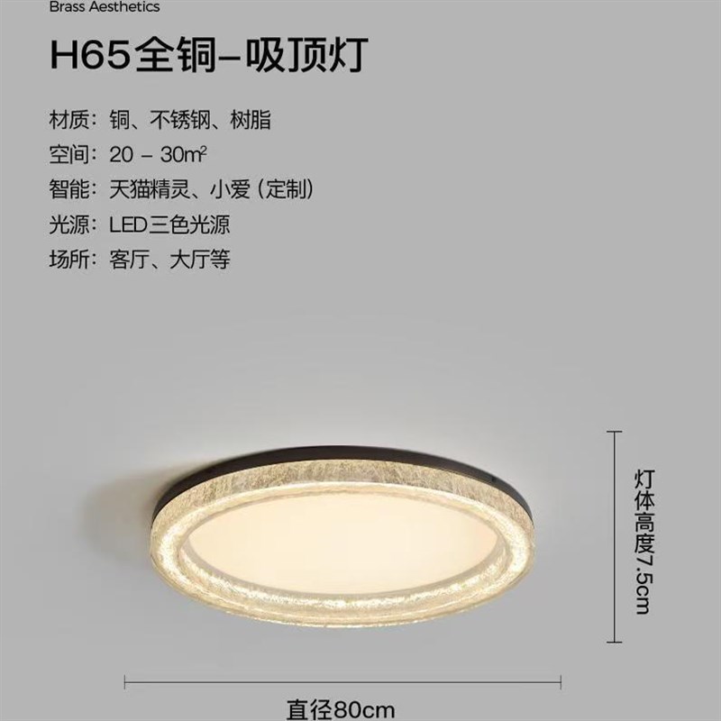 全铜意式极简客厅吸顶灯现代轻奢高级感大气房间卧室主灯护眼灯具