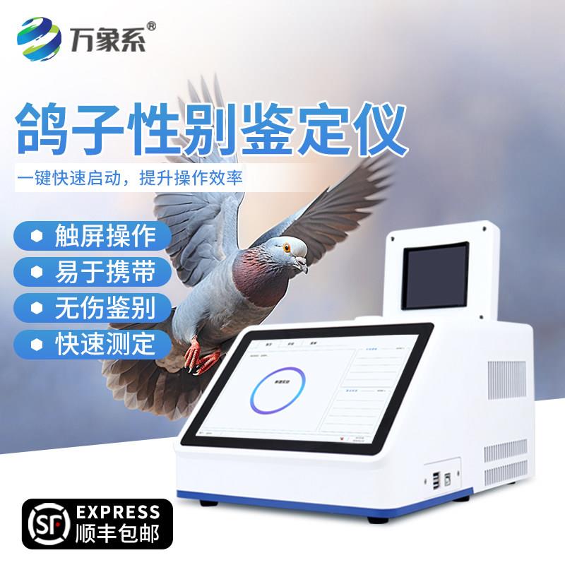 鸽子性别鉴定仪器鸟类鹦鹉肉鸽公母检测雌雄无创分辨芙蓉玉鸟玄凤