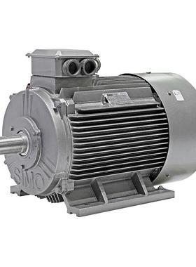 鸿泰二级能效电机YE4-2505-4KWGXL8M0V调速范围广节能环5保