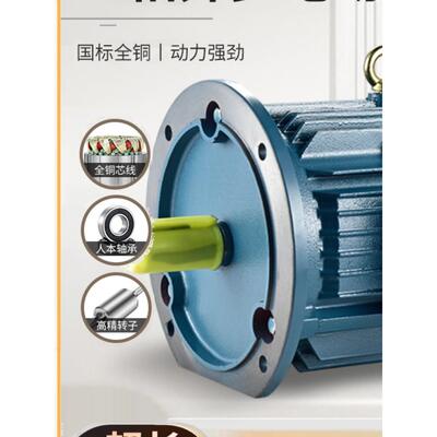 立式变频调速三相异步电动机YVF/YVP-100L2-4 3KW/4/5.5/7.5电机