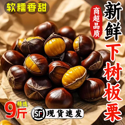 【2025新鲜丹东生板栗】顺丰包邮