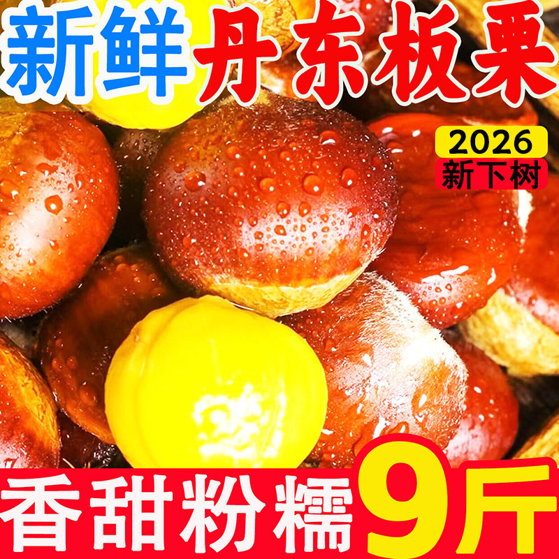 2026丹东板栗生新鲜9斤鲜栗子生大嫩板粟锥栗野生批发新鲜板栗仁