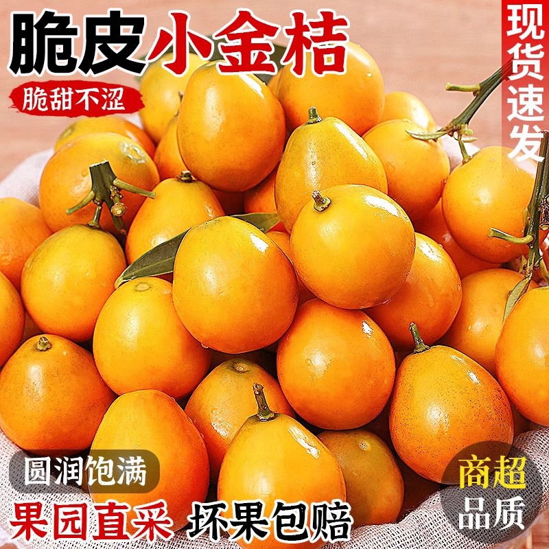 广西脆皮金桔新鲜水果桔子当季现摘甜蜜小金柑桔金橘融安特产整箱,水产肉类/新鲜蔬果/熟食,桔子,淘宝优惠券,粉丝福利购,淘宝优惠卷