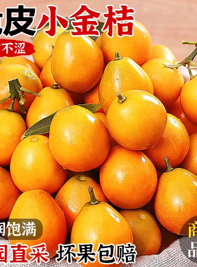 广西脆皮金桔新鲜水果桔子当季现摘甜蜜小金柑桔金橘融安特产整箱
