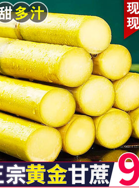 正宗黄金甘蔗黄皮脆甜新鲜水果9斤现砍甜杆甘蔗孕妇多汁包邮批发