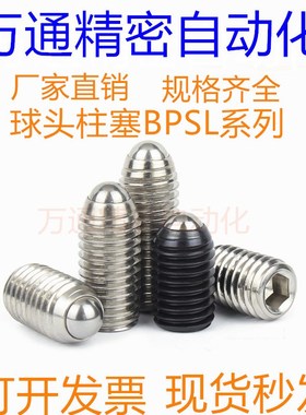 球头柱塞 替代米型 BPSL3/4/5/6/8/10/12/16
