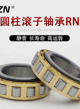 无外圈圆柱滚子轴承 RN 204 205 206 207 208 209 210 211 212 EM