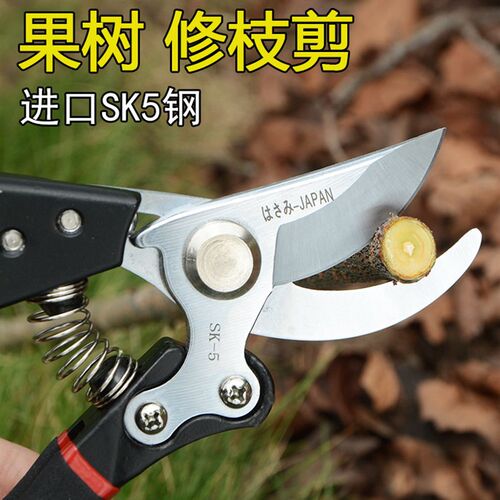 花剪园艺剪刀家用花草盆栽修花园林果树修剪树枝日本剪枝修枝剪