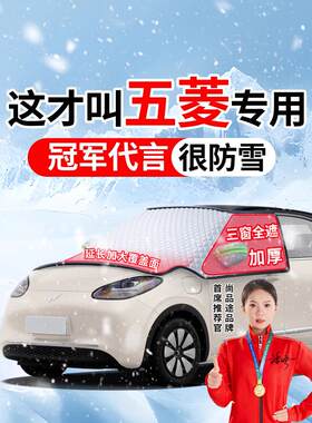 适用于五菱缤果PLUS宏光S MINI汽车前挡风玻璃防冻罩遮雪挡防霜