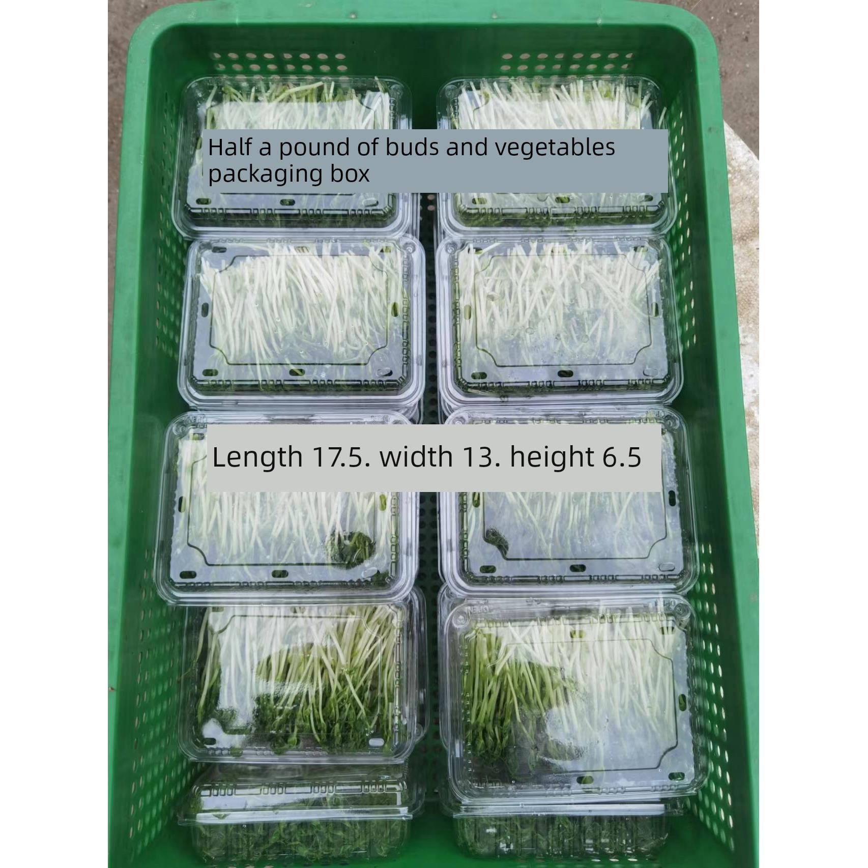 豆芽豆苗水培芽苗菜豌豆苗一次性塑料种植盒带盖育苗盘打包盒