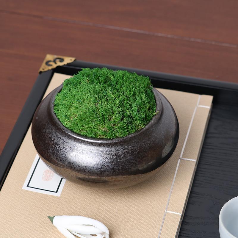 新中关盆栽JC5884茶壶托盘几摆件样板房茶室软装饰品玄电视柜茶博