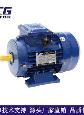 家直销T954CG卧立式0扭.75KW三相异步厂交流减稳速电动机运矩大行